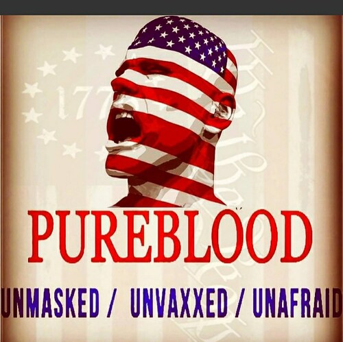 Christian, Husband, Father, Son, Airline pilot