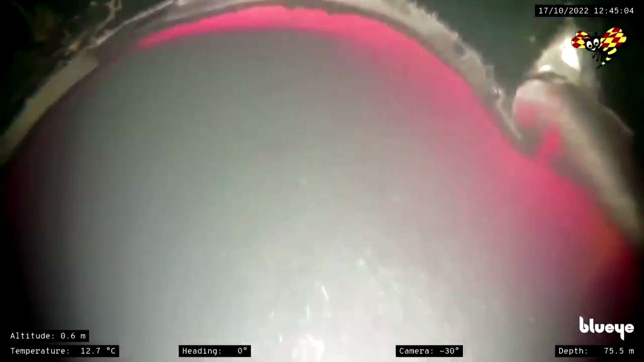 Powerful blasts caused Nord Stream pipeline leak
对波罗的海丹麦部分的两条北溪天然气管道受损情况的初步调查显示，泄漏是由'强力爆炸'造成的。
#澳喜要闻...