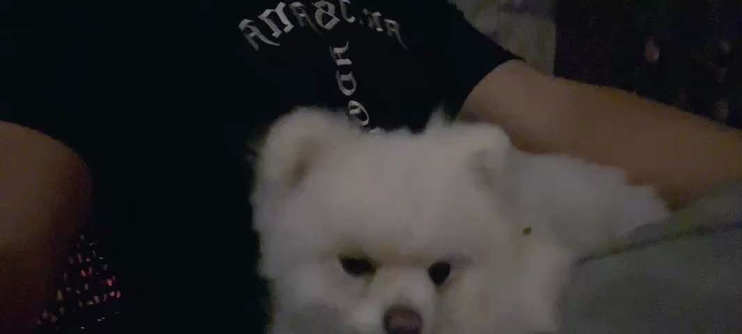 
最尊敬的战友们好！很多战友发信息要看SNOW 的视频万分感谢……战友们对我们爆料革命SNOW 战友的关心……