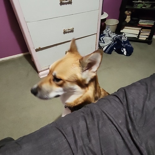 Visit nomad420's profile on GETTR. View their posts, photos, videos, and connect with them on the social platform.