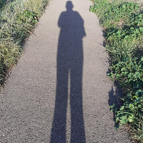 OBSERVER, REFLECTOR, REVEALOR, CONSTRUCTOR, PROPOSER.
PEOPLE CANT SEE  THEMSELVES & THEY  CAN ONLY  SEE THEIR OWN SHADOWS. SO, TO ACT AS A MIRROR IS FUN
