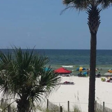 @drnaomirwolf Loved seeing you live on the War Room with Bannon. God Bless you for your tireless efforts to educat...