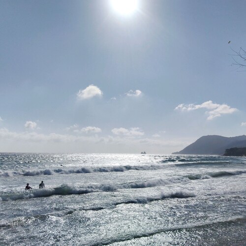 Visit _ROTOR 🇫🇷🇺🇸🇬🇧's profile on GETTR. View their posts, photos, videos, and connect with them on the social platform.