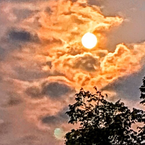 Momma Bear Patriot who is tired of the clownworld we find ourselves in today