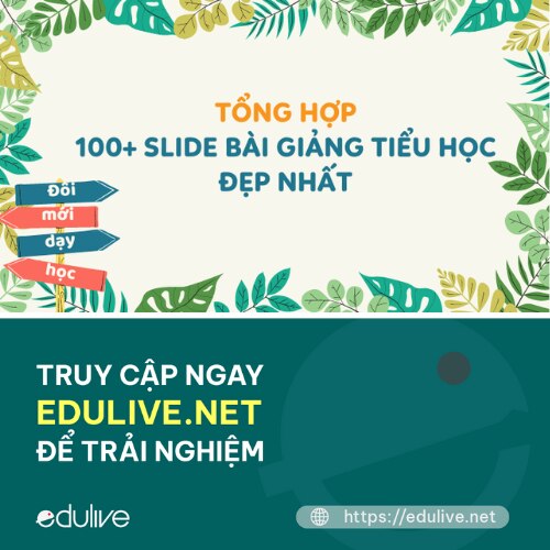 NHỮNG ĐIỀU GIÁO VIÊN CÓ ĐƯỢC KHI SỬ DỤNG SLIDE BÀI GIẢNG MẪU
- Nhanh chóng có slide đẹp mà không cần phải tự biên soạn, tự thiết kế;
- Giảm bớt được thời gian và công sức bỏ ra cho thiết kế bài giảng;
- Có thêm thời gian để nghỉ ngơi, thư giãn hoặc dành cho các tác vụ việc khác;
- Chất lượng của các slide mẫu luôn đẹp mắt, hài hoà, đảm bảo tính thẩm mỹ.
- Nâng cao chất lượng về mặt hình thức bài giảng, đặc biệt với những ai không quá giỏi thiết kế thì đây là lựa chọn tối ưu;
Thầy cô có thể tham khảo một loạt các slide mẫu đẹp mắt được tuyển chọn kỹ lưỡng tại: https://edulive.net/mau-slide-bai-giang-dep-nhat-dinh-thay-co-phai-co. Các slide ở đây đã được chia theo môn, theo lớp, theo chủ đề, v.v. Ngoài ra, nếu còn ưu điểm nào khác của slide mẫu bạn đừng ngại chia sẻ