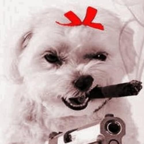 Smeared & cancelled by Establishment over on X. #ClassStruggle #FreeSpeech