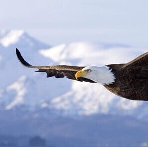 Whistleblower movement,The New Federal State of China🙏The sunlight will eventually pierce the dark scenes and shine on ...