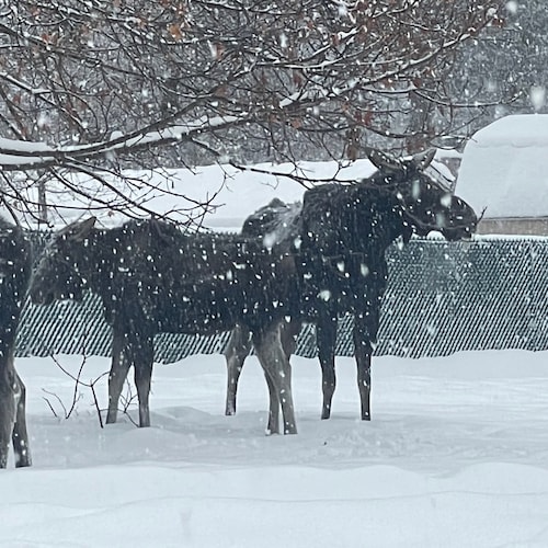 God, family, country and my dog. 
Freedom only!!