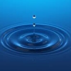 G｜Club：www.gclubs.com
G｜Fashion
www.gfashion.com 
Rule Of Law Foundation：https://www.rolfoundation.org/
Rule of Law Soci...