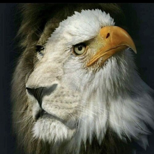 GETTR पर jeans15 की प्रोफाइल देखें। उनकी पोस्ट, फोटो, वीडियो देखें और सामाजिक प्लेटफॉर्म पर उनसे जुड़ें।