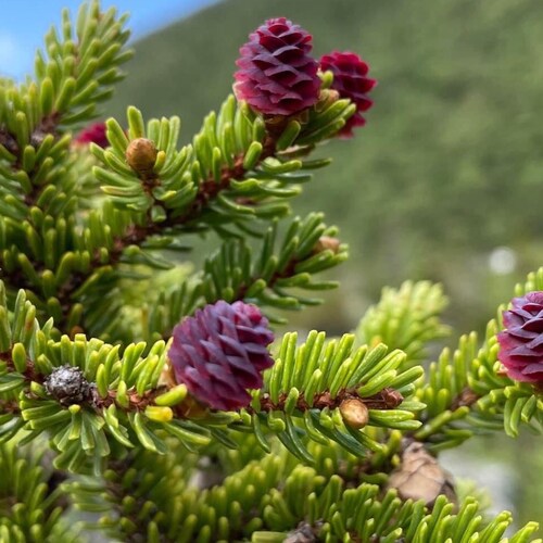 Visit AscutneyTramper's profile on GETTR. View their posts, photos, videos, and connect with them on the social platform.