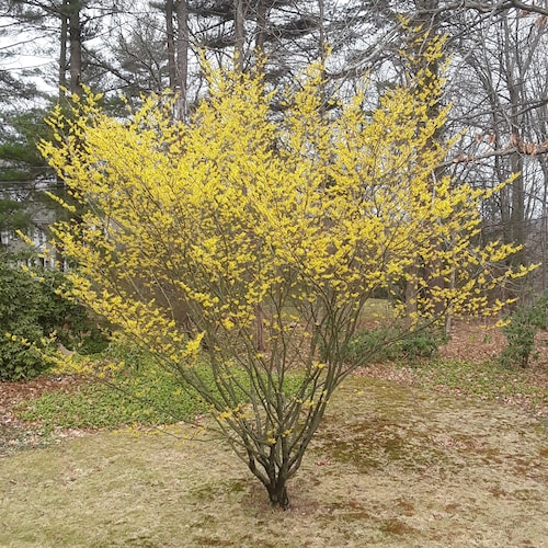 Visit gsal52's profile on GETTR. View their posts, photos, videos, and connect with them on the social platform.