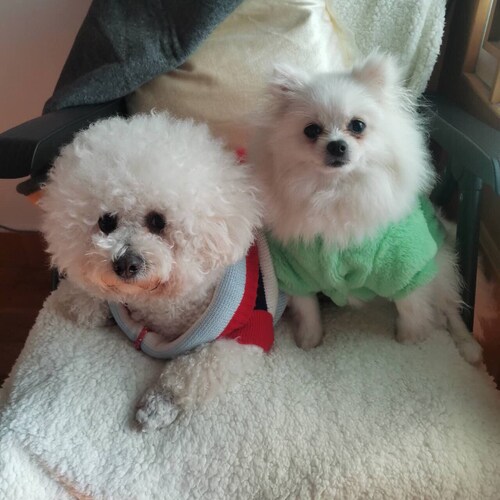 Visit 小水手's profile on GETTR. View their posts, photos, videos, and connect with them on the social platform.