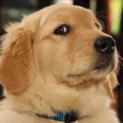 Visit 蓝色记忆's profile on GETTR. View their posts, photos, videos, and connect with them on the social platform.