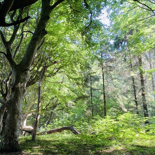 Visit JayneAbsolon's profile on GETTR. View their posts, photos, videos, and connect with them on the social platform.