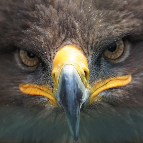 Be courteous to all, but intimate with few; and let those few be well tried before you give them your confidence. 

Geor...