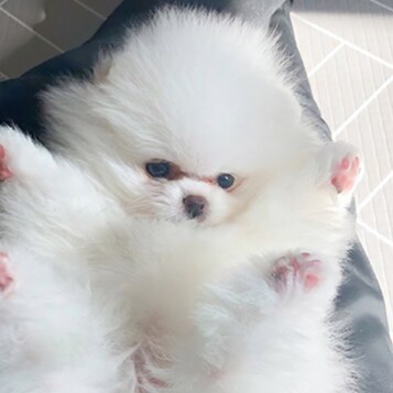 Visit Amos's profile on GETTR. View their posts, photos, videos, and connect with them on the social platform.