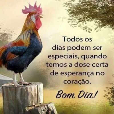 Visit fayban58's profile on GETTR. View their posts, photos, videos, and connect with them on the social platform.