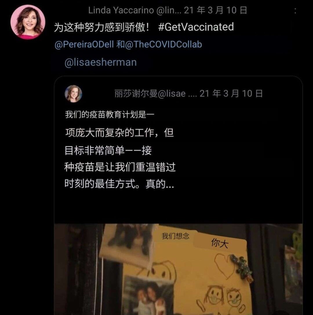 据报道，这是新的 Twitter CEO。 口罩、接种疫苗 和世界经济论坛的参与者。在她的 Twitter 下，#突然死亡 电影永远不会被允许上映。 @elonmusk 如果这是真的 - 请重新考虑这...