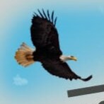 Visit fernandecarreas's profile on GETTR. View their posts, photos, videos, and connect with them on the social platform.