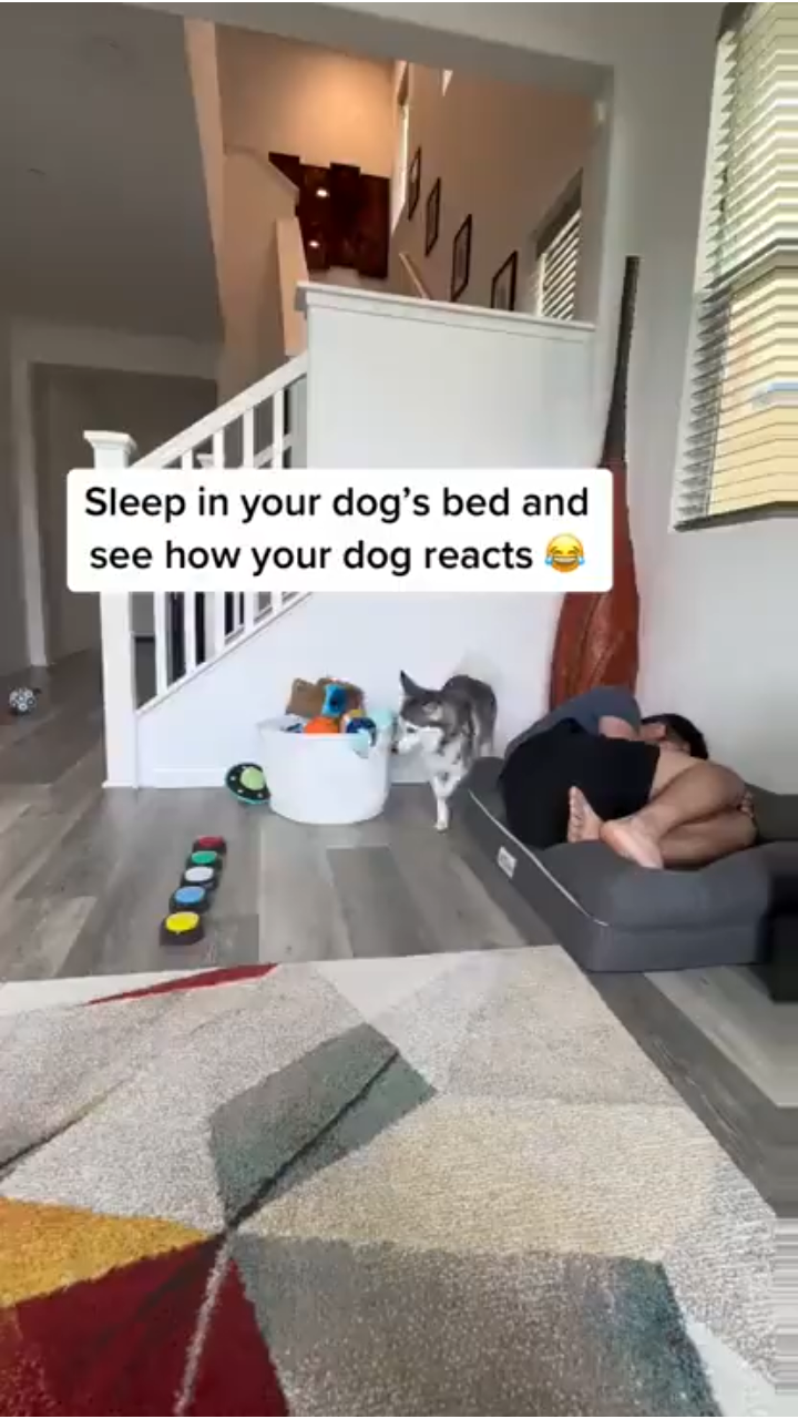 View ☦️🦁⚔ 🆃🆁🅴🅱 ⚔🩸's post on GETTR. Join the discussion, share your thoughts, and connect with the community.