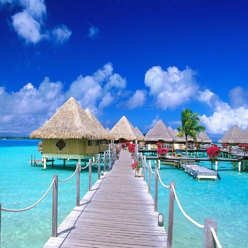 Visit M5210's profile on GETTR. View their posts, photos, videos, and connect with them on the social platform.