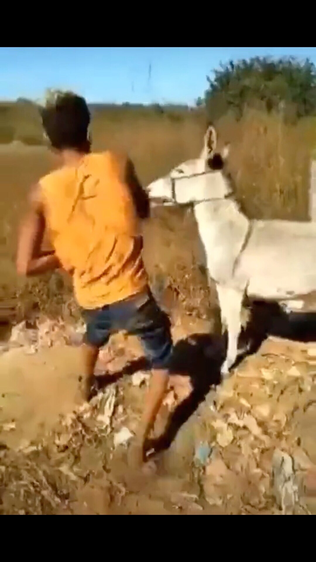 View AnimalsSSS's post on GETTR. Join the discussion, share your thoughts, and connect with the community.