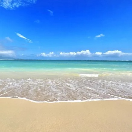 Visit haifeng's profile on GETTR. View their posts, photos, videos, and connect with them on the social platform.