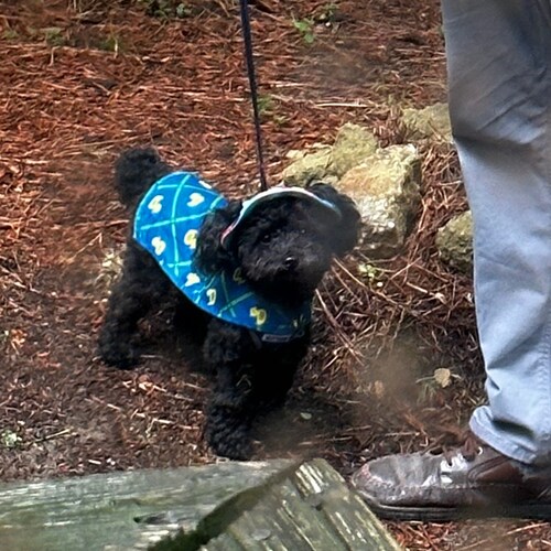 Visit SharonIsHere's profile on GETTR. View their posts, photos, videos, and connect with them on the social platform.