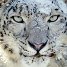 Visit Ace1958's profile on GETTR. View their posts, photos, videos, and connect with them on the social platform.