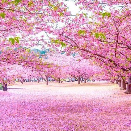 Visit AlwaysReal's profile on GETTR. View their posts, photos, videos, and connect with them on the social platform.