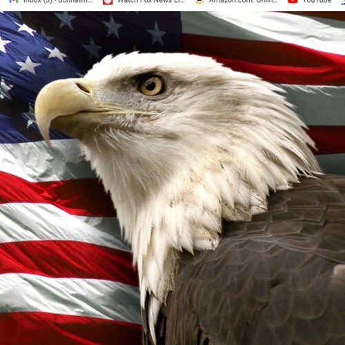 Visit usagirl67's profile on GETTR. View their posts, photos, videos, and connect with them on the social platform.