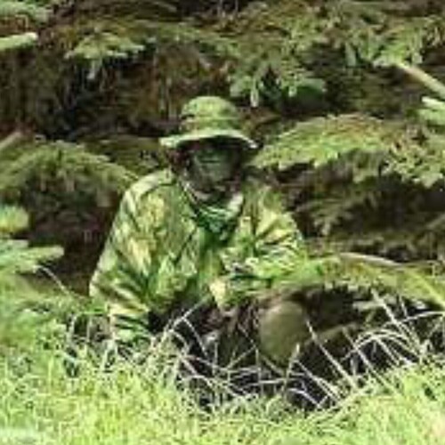 Retired-Cop, Surveillance expert, Veteran/PTSD survivor, professional photographer ‘NoleftLegs’ husband. U do U, I’ll do...