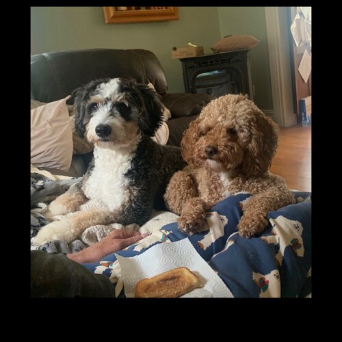 slave of Jesus Christ, RN,wife & Mother dog 🐩 lover 💕favorite book 📖 Bible 🥰