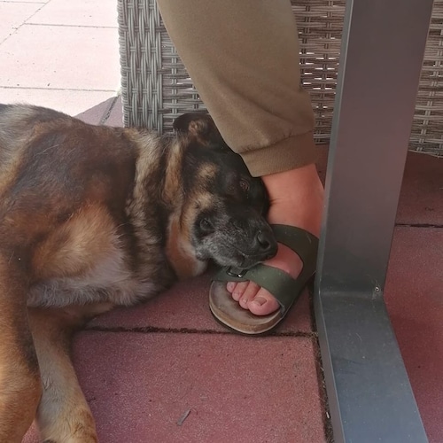 Leben und Leben lassen; Banned by Twitter