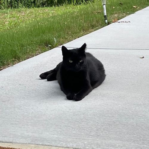 Visit Lori's profile on GETTR. View their posts, photos, videos, and connect with them on the social platform.