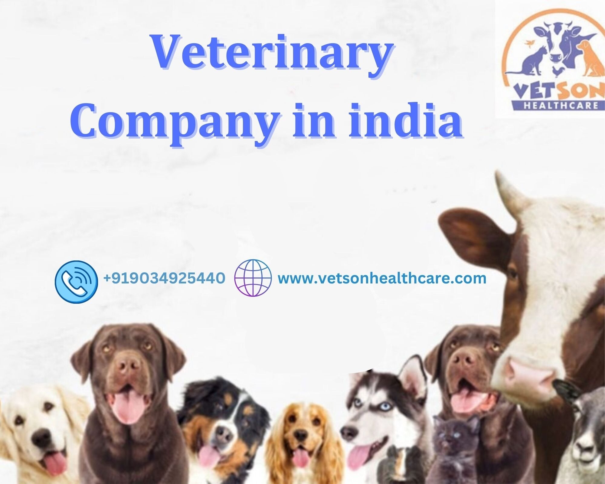 India's veterinary medicine producers are essential to improving animal care and health throughout the nation. These producers make a substantial contribution to the Vetson healthcare ecosystem by creating a variety of pharmaceutical goods that are suited for the needs of pets, livestock, and poultry the presence of indigenous veterinary pcd company ensures accessibility to cost-effective and locally relevant treatments, benefiting both animal owners and veterinarians. This leads to improved disease management, disease prevention, and overall animal well-being. Additionally, the veterinary medicine manufacturing industry fosters innovation, research, and development. Link:- https://vetsonhealthcare.com/top-10-veterinary-pcd-company-in-india/