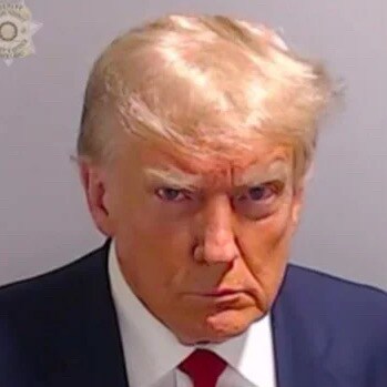 A patriot must always be ready to defend his country against his government.

Edward Abbey