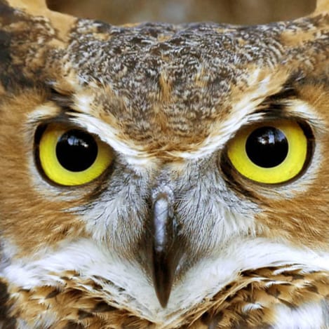 Tired of the crap, the distractions, the agendas, the filtering? Here is news that should be reported but isn't by mains...