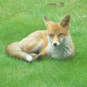 Female. Nature and art lover. Atheist.