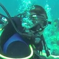 Real Estate Mortgage Broker. Joe Frank Cerros Loan Officer Nmls 240041 Dre 01356767. Po Box 803 Lawndale CA 90260. Licen...