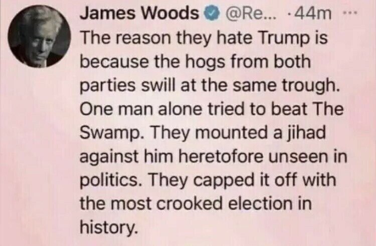 James Woods is on target as always! 
If Trump were elected he would destroy the swamp which would de...