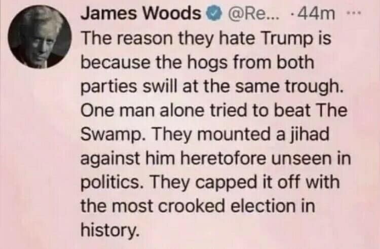 James Woods is on target as always!
If Trump were elected he would destroy the swamp which would destroy the NWO chances of taking our republic.
IT’S WH