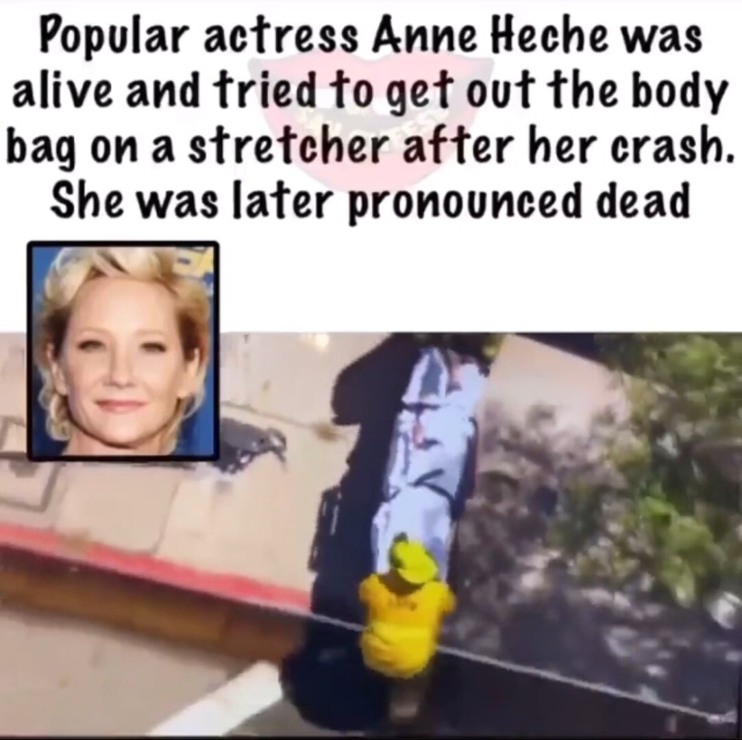 View DavidisPissed's post on GETTR. Join the discussion, share your thoughts, and connect with the community.