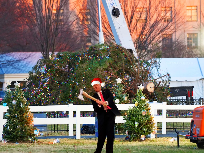 IT BELONGS IN MAR-A-LAGO!!!🎄🤣🤣🤣