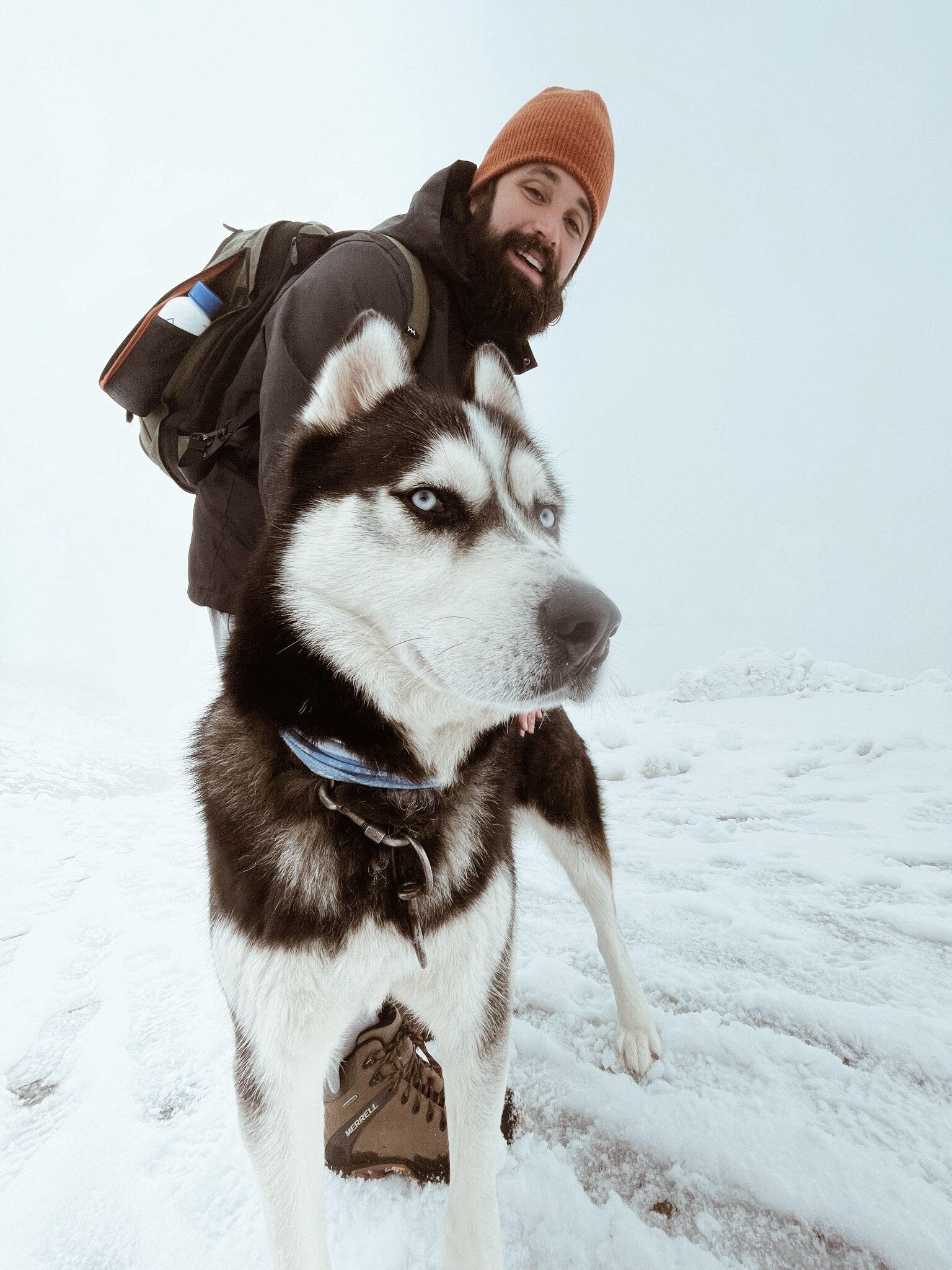 Dogs are always friends, no matter where we go (this was in Romania) 🇷🇴 

#travel #dogs #dogsofget...
