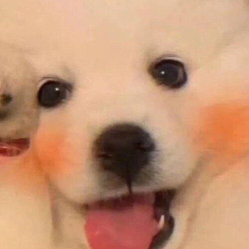 Visit gavinmccain's profile on GETTR. View their posts, photos, videos, and connect with them on the social platform.