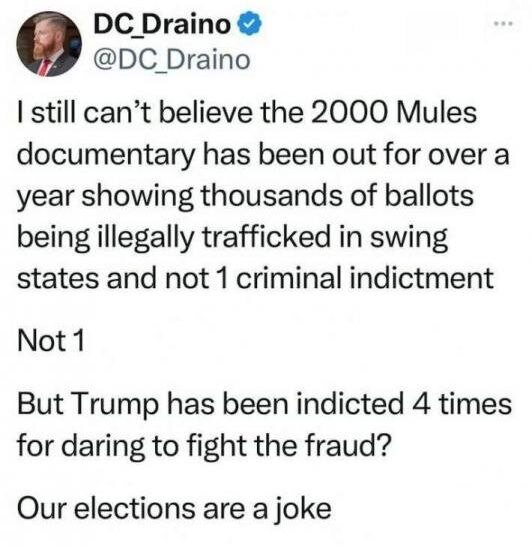 United States elections are a joke! 👇