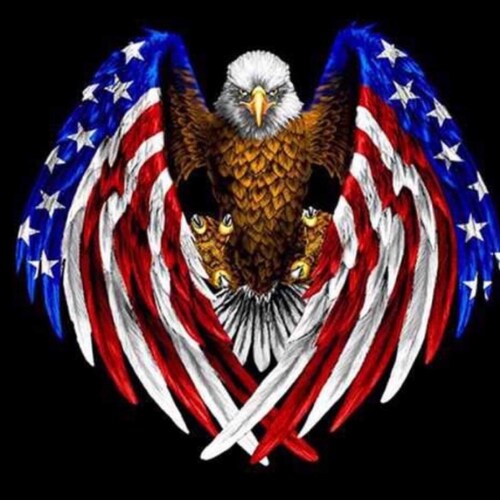 Conservative Republican, 🇺🇸 1st,♥️ 🇺🇸, Trump WON 2020/2024 Greatest President of our time - 🇺🇸MAGA/KAG 🇺🇸 - 1A,2A...🚫DM🚫Sex🚫Crypto