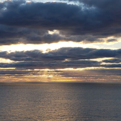 Constitutional Grandmother